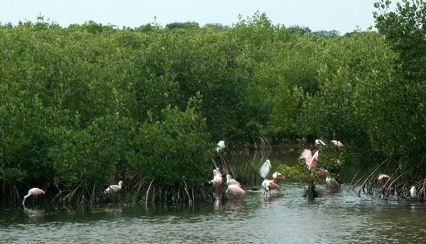 Click to See Next Image